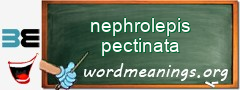 WordMeaning blackboard for nephrolepis pectinata